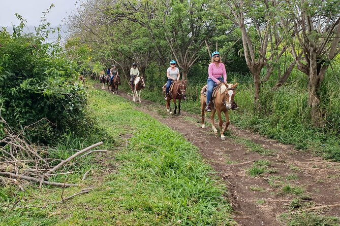 3 Hours Horseback Riding from Nature Trails to Sofa Stone - The climb to Sofa Stone and the best views