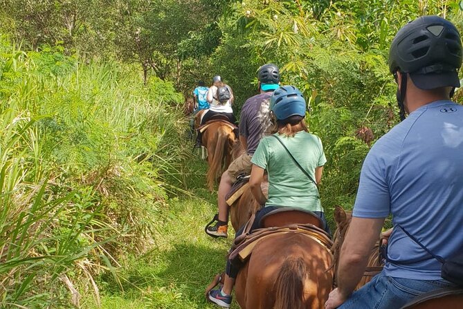 3 Hours Horseback Riding from Nature Trails to Sofa Stone - Pickup from hotels and the cruise port