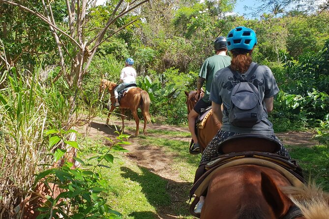 3 Hours Horseback Riding from Nature Trails to Sofa Stone - Horse care and trail conditions