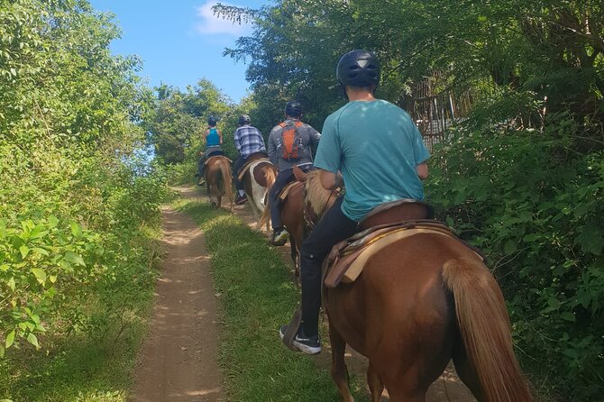 3 Hours Horseback Riding from Nature Trails to Sofa Stone - Booking, cancellation, and simple preparation