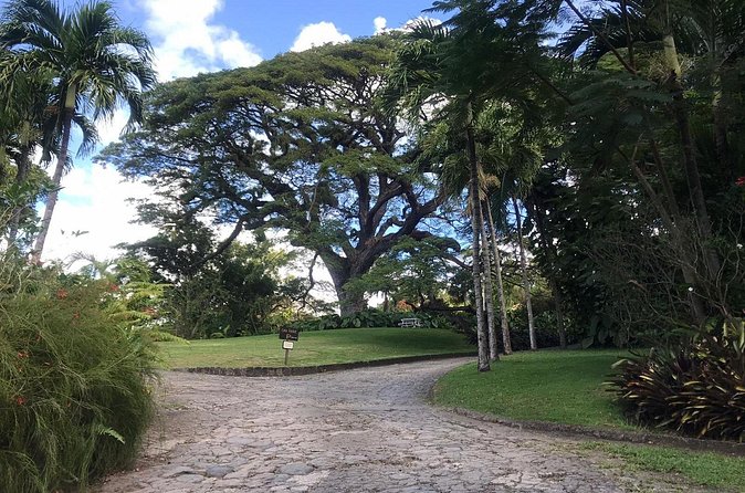 Basseterre Half Day Tour - South Friars Beach and the meeting of two seas