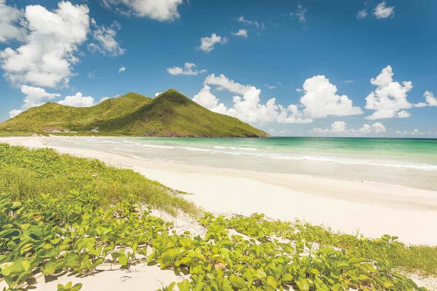 Basseterre: Highlights Capital and Beach Tour - Meeting Island Paradise Tours at the dock
