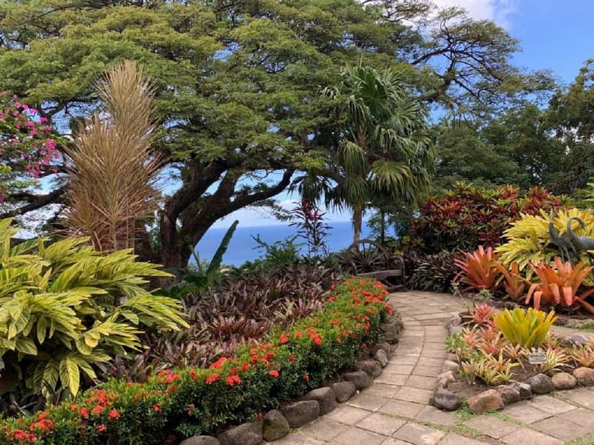 Basseterre: Plantation and Beach Extravaganza - Basseterre first: a useful introduction to St. Kitts