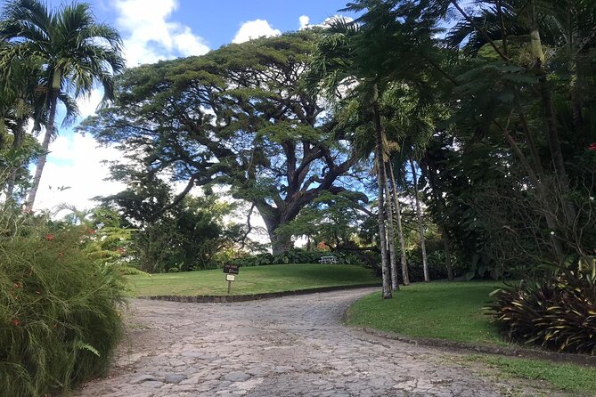 Basseterre Plantation Private Half Day Tour - Timothy Hill brings the sea into the day
