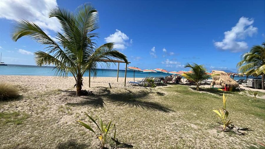 Basseterre: St. Kitts and Nevis Catamaran Tour with Lunch - A boat made for a long day afloat