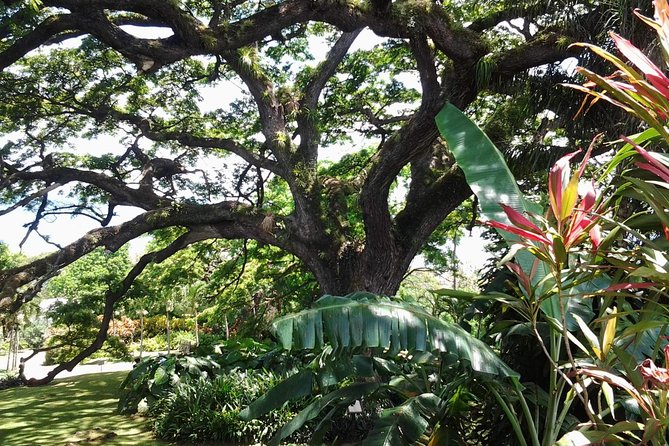 Best of St. Kitts Highlight Tour. - Key points to know before you book