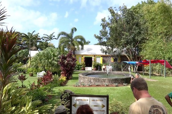 Best of St. Kitts Highlight Tour and Beach - Carib petroglyphs add a more personal connection to the island