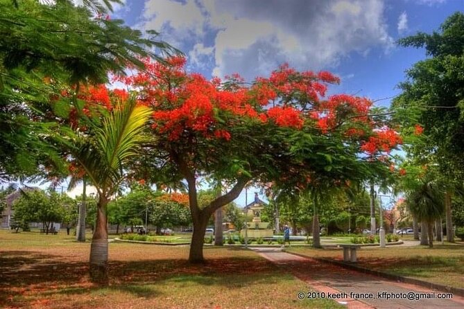 Best of St. Kitts Private Half Day Tour - A private guide makes the pace more personal