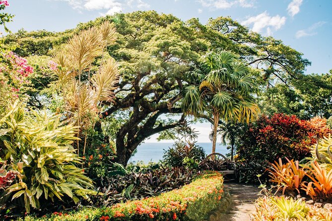 Best of St. Kitts Private Half Day Tour - Romney Manor connects sugar and rainforest