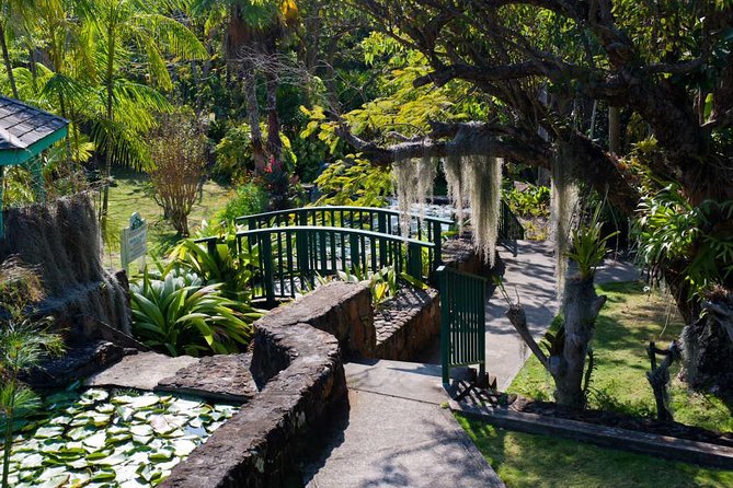 Discover Nevis, Island Tour (Private) - Montpelier Estate and the Botanical Gardens
