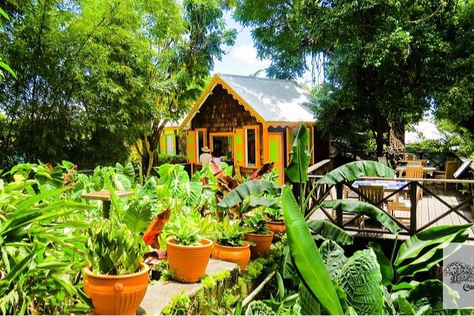 Full Island Private Tour - The $60 price and who gets the best value