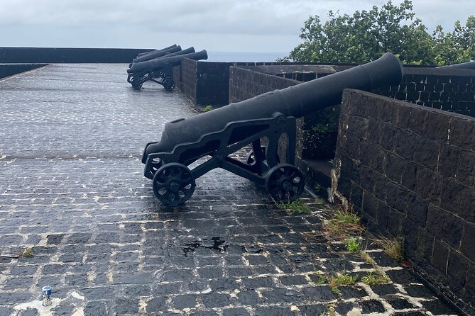 Half-Day Island Adventure of St Kitts - Romney Manor in a short visit