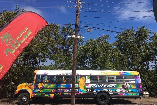 Half Day St. Kitts Party Bus City Excursion and Beach - A four-hour St. Kitts outing built around Frigate Bay