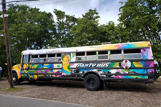 Half Day St. Kitts Party Bus City Excursion and Beach - What the $38 price really covers