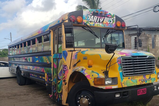 Half Day St. Kitts Party Bus City Excursion and Beach - Who will enjoy this St. Kitts party bus