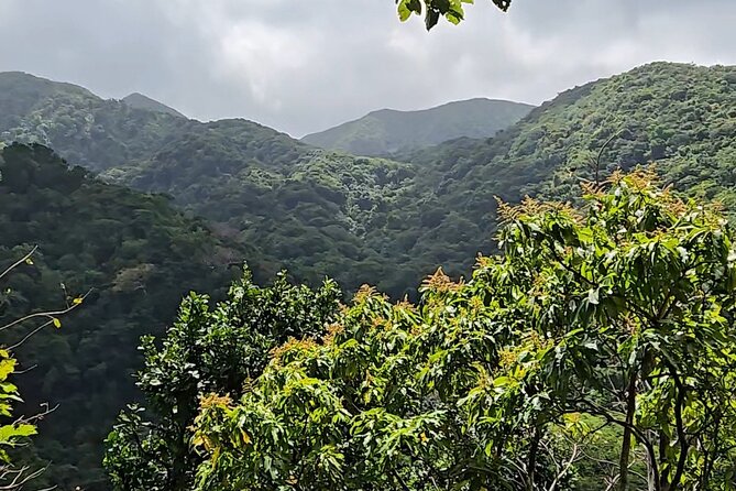 Half-Day St. Kitts Rainforest Hike - Getting there in Leroy’s open-air truck