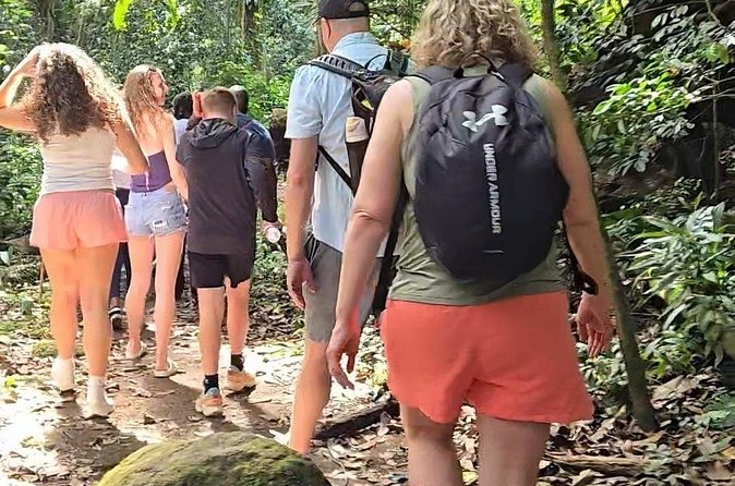 Half-Day St. Kitts Rainforest Hike - Wildlife, plants, and what you may actually see