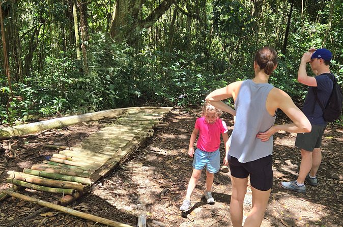 Half-Day St. Kitts Rainforest Hike - Snacks, water, and the value of a four-hour outing