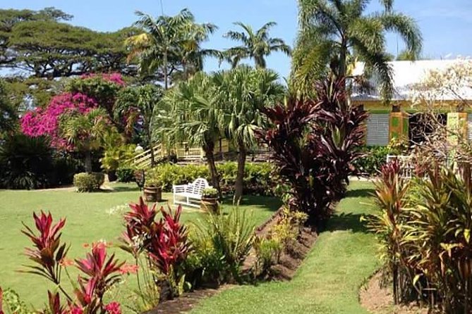 Half-Island Tour of St Kitts - Why this three-hour route works well