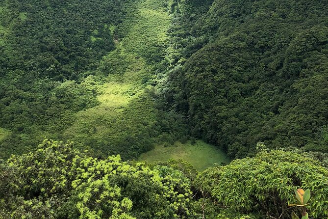 Hike St. Kitts: Highest peak Mount Liamuiga Volcano - Four hours and 45 minutes on Mount Liamuiga