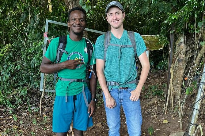 Hike St. Kitts: Highest peak Mount Liamuiga Volcano - Guides who pace the climb instead of rushing it