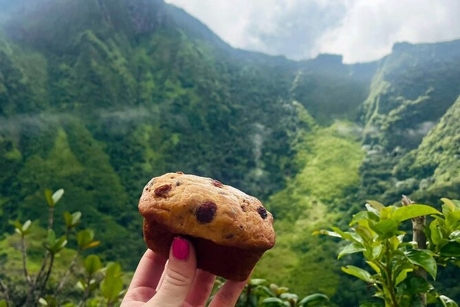 Hike St. Kitts: Highest peak Mount Liamuiga Volcano - Crater views and the payoff at the top