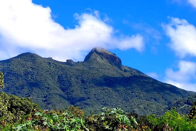 Hike St. Kitts: Highest peak Mount Liamuiga Volcano - Who should book this hike