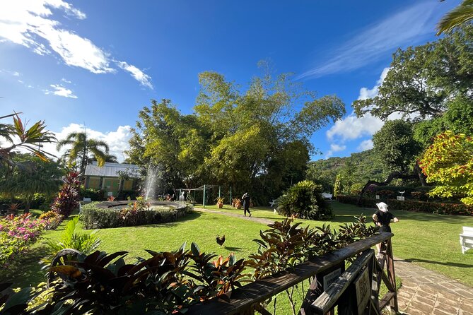 Hike St Kitts: Wingfield Rainforest and Romney Experience - What the $85 price really covers