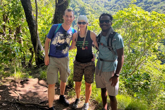 Hike St Kitts: Wingfield Rainforest and Romney Experience - Who should book this hike?