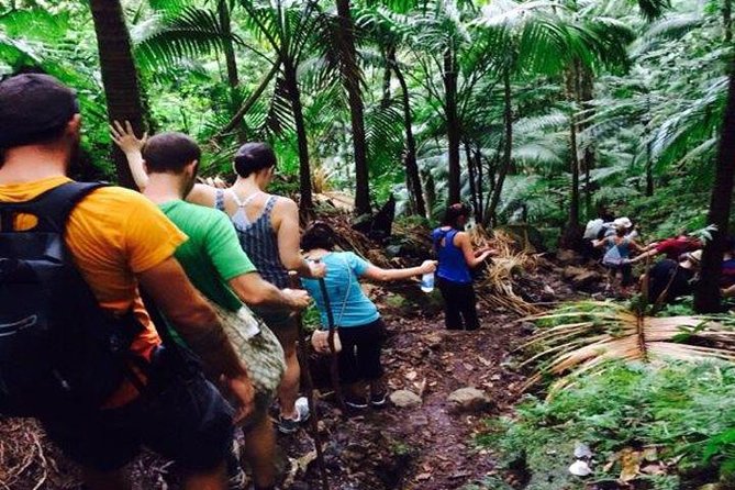Hiking Mount Liamuiga Volcano in St Kitts - Mount Liamuiga is a climb, not a stroll