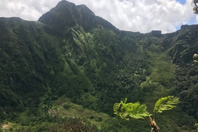 Hiking Mount Liamuiga Volcano in St Kitts - The trail through St Pauls and the rainforest