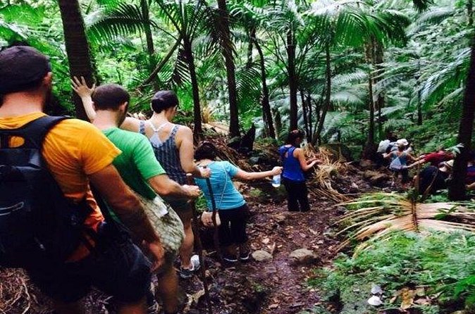 Hiking Mount Liamuiga Volcano in St Kitts - Who should book this Mount Liamuiga hike?