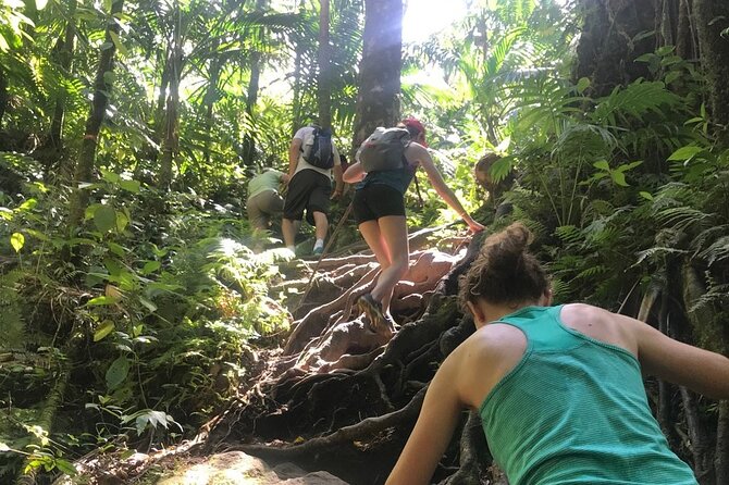 Hiking Mount Liamuiga Volcano in St Kitts - Should you book it?