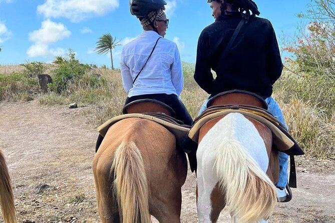 Horseback Riding, A Scenic Escape - Following the trail through fruit trees and rainforest