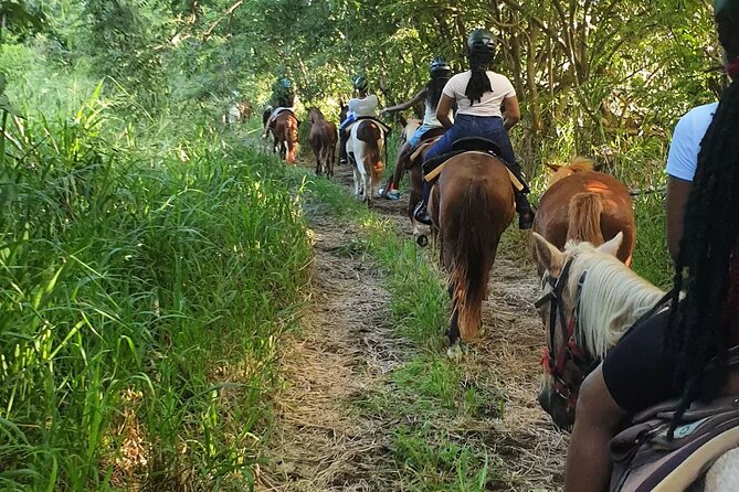 Horseback Riding, A Scenic Escape - Seeing sugar mills and the older St. Kitts
