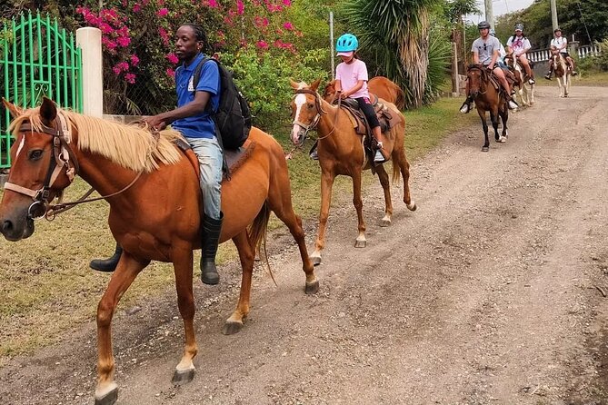 Horseback Riding, A Scenic Escape - The Basseterre viewpoint and Sofa Stone walk