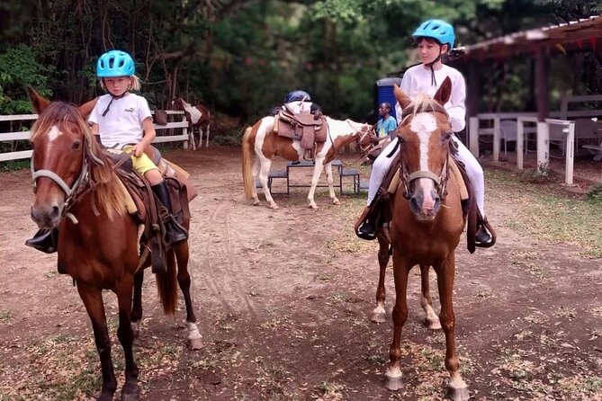 Horseback Riding, A Scenic Escape - Group size, timing, and pickup details