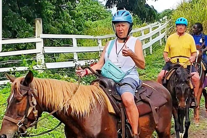 Horseback Riding, A Scenic Escape - The $110 price and what you receive