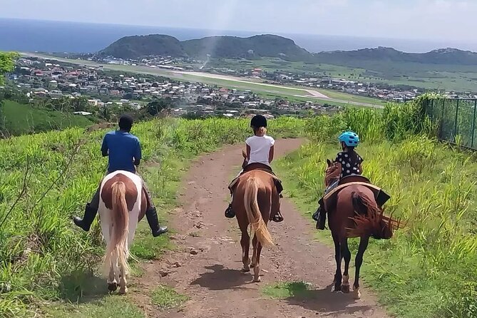 Horseback Riding, A Scenic Escape - Getting started with the horses and safety briefing