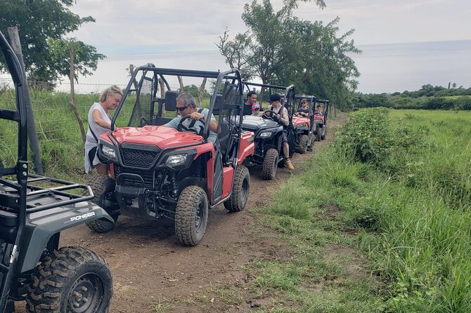 Jungle bikes Dune Buggy - The old sugar estate and local plant knowledge