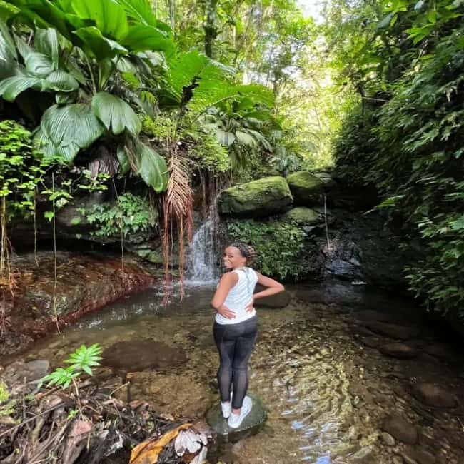 Lawyer Stephen Hike with Waterfall and Cave Hike - Key points to know before you book