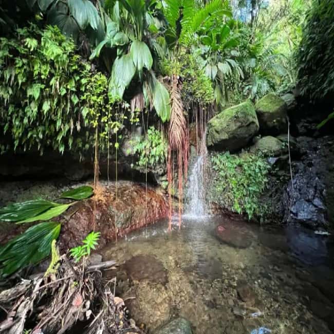 Lawyer Stephen Hike with Waterfall and Cave Hike - Why this hike feels different from a standard Nevis outing