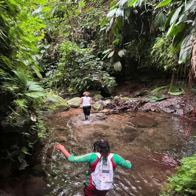 Lawyer Stephen Hike with Waterfall and Cave Hike - Reaching the first waterfall