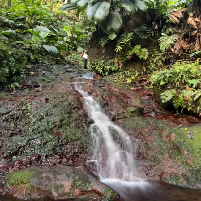 Lawyer Stephen Hike with Waterfall and Cave Hike - What the guide adds
