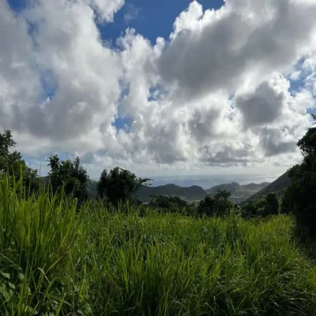 Lawyer Stephen Hike with Waterfall and Cave Hike - How the $85 price compares with the experience