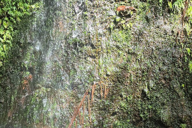 Lawyer Stephen’s Cave & Waterfalls Hike - Sandy Point Town and the northwest coast