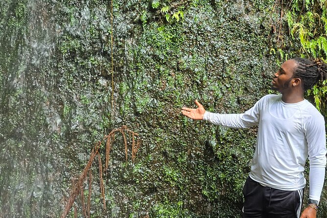 Lawyer Stephen’s Cave & Waterfalls Hike - Who will enjoy the first waterfall