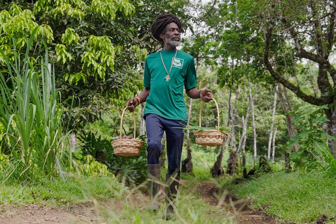 Liamuiga Natural Farm Tour - St.Kitts' Coffee Farm - The ride from Molineux into the rainforest