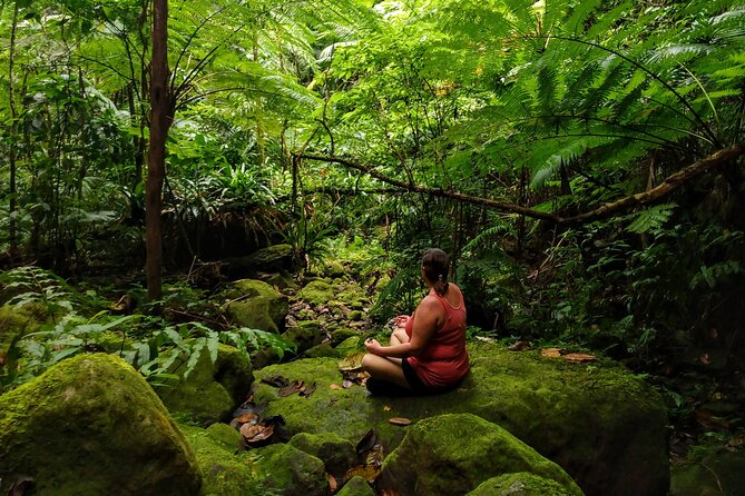 Mindfulness Rainforest Hike, Forest Bathing, Volcanic Hot Springs - A quiet start at Oualie Water Taxi Pier