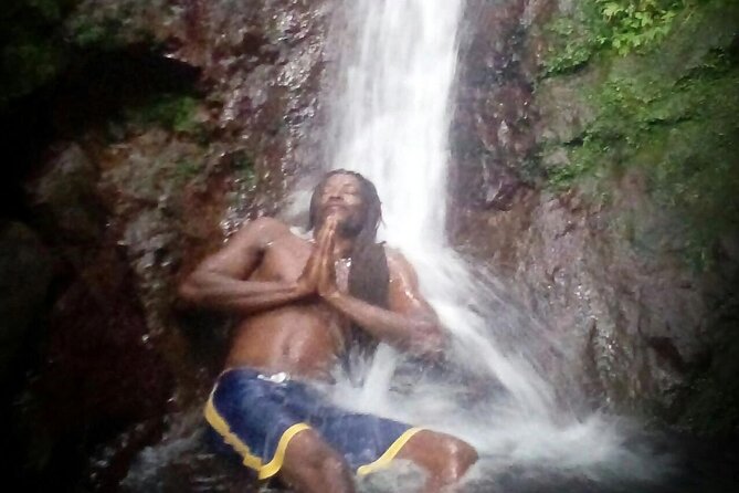 Mindfulness Rainforest Hike, Forest Bathing, Volcanic Hot Springs - How much value you get for $175